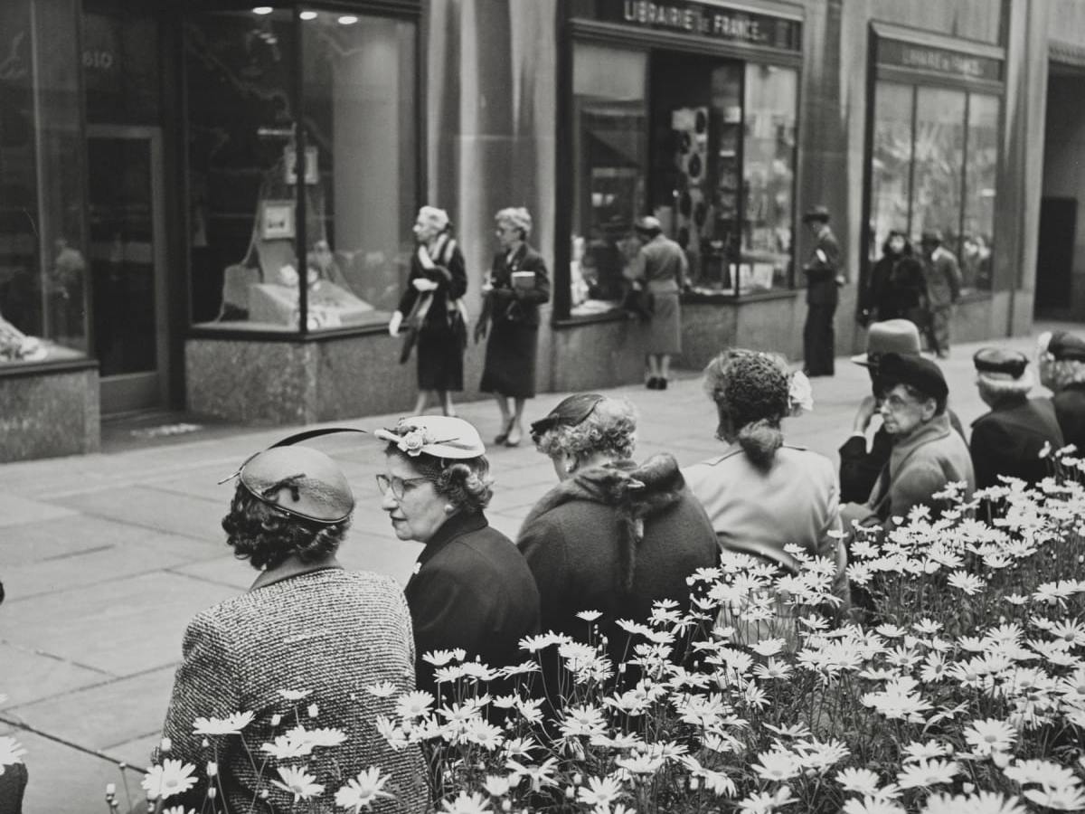 Sinfonia dell’autenticità: donne al bar